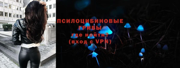 spice Пересвет