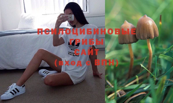 соль курить ск Пестово