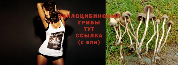 spice Пересвет