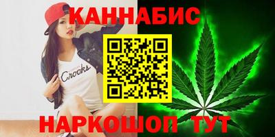 индика Будённовск
