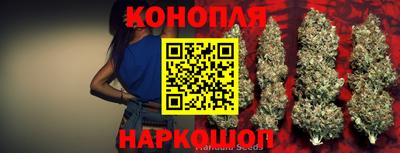 индика Будённовск