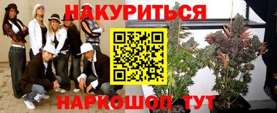 индика Будённовск