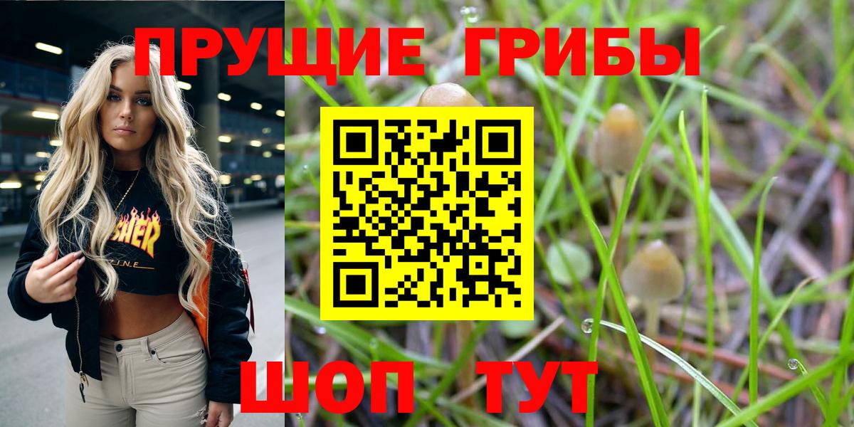 Псилоцибиновые грибы прущие грибы Великие Луки
